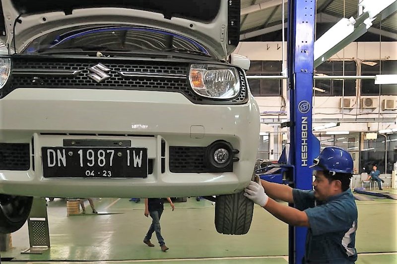 Suzuki palu (3)