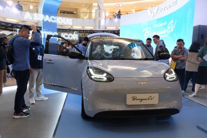 Wuling BinguoEV (1)